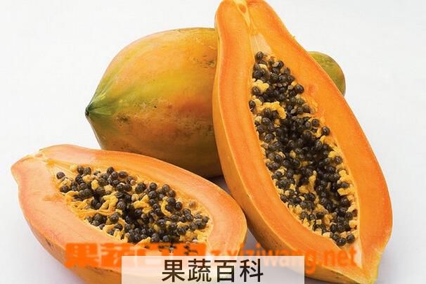 果蔬百科孕妇能吃木瓜吗