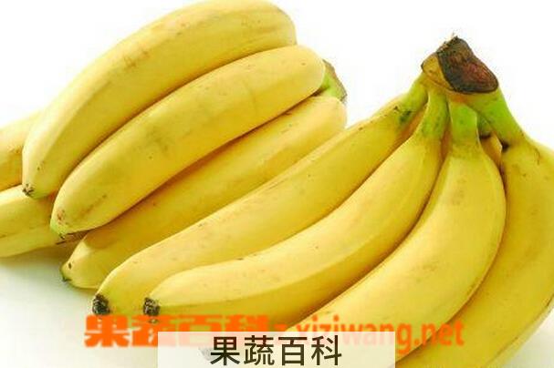 果蔬百科香蕉不能和什么一起吃