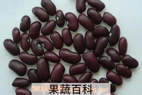 紫芸豆的功效与作用