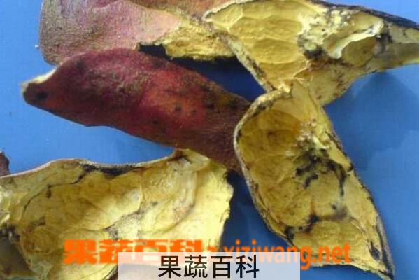 果蔬百科石榴皮