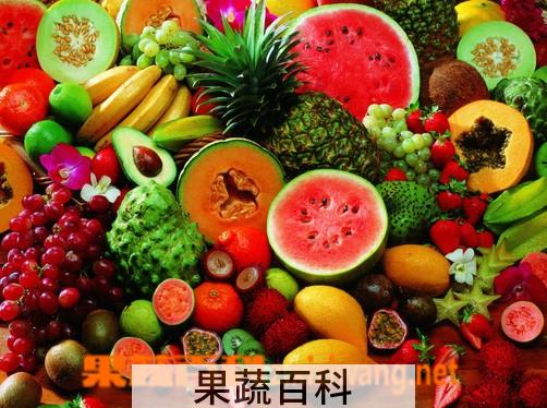 果蔬百科什么时候吃水果最好