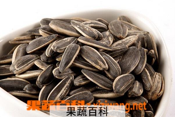 果蔬百科香瓜子的营养价值