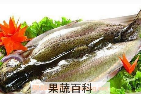 鳟鱼的营养价值