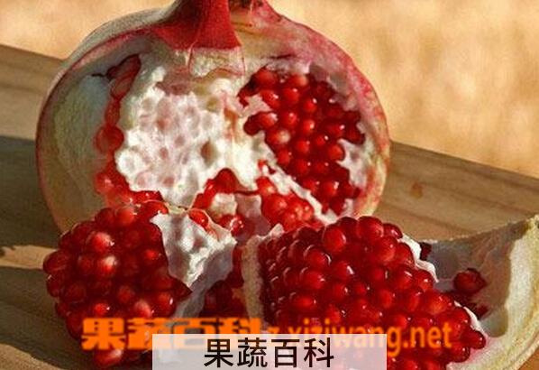 果蔬百科红石榴的功效与作用