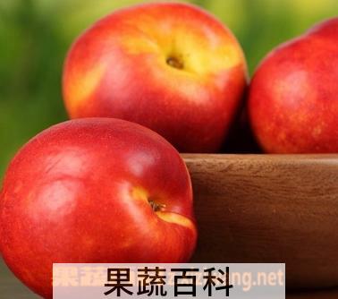 果蔬百科油桃的营养价值有哪些