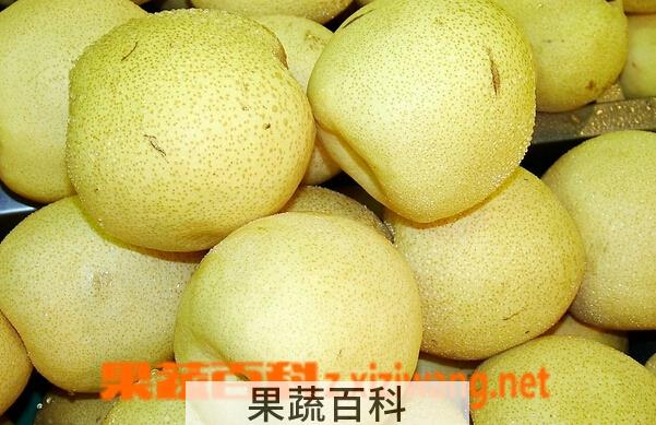 果蔬百科五类水果止咳化痰效果好