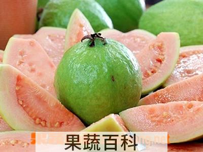 果蔬百科吃番石榴上火吗 吃番石榴的好处