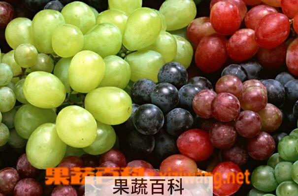 果蔬百科哪些水果能解酒