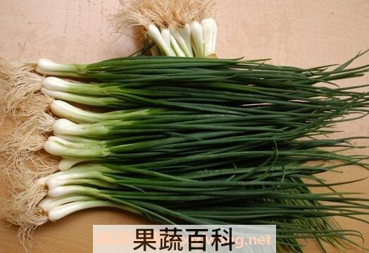 怎么区别香葱和小葱