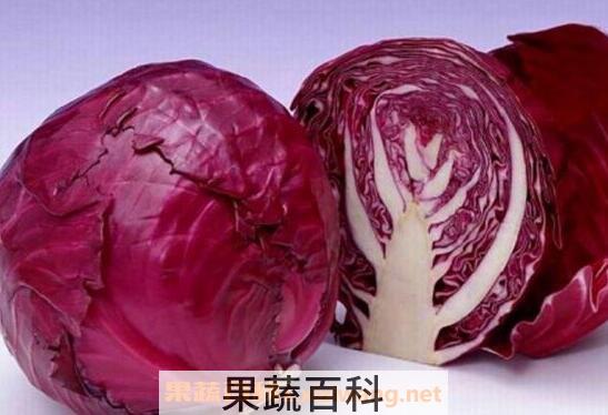 紫椰菜的营养价值