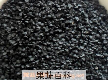 怎么区分葱籽与韭菜籽