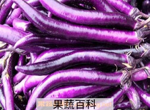 紫长茄的营养价值