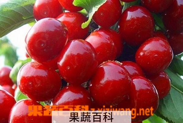 果蔬百科糖尿病能吃什么水果