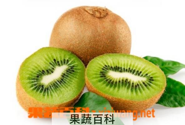果蔬百科哪些水果能通便
