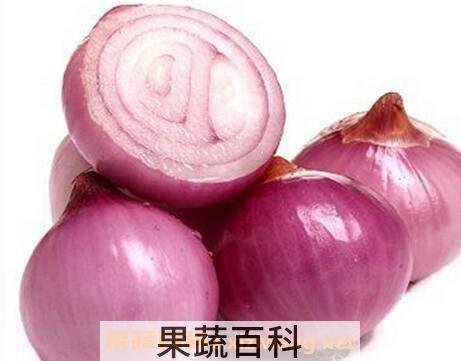 怎么切洋葱不流泪 