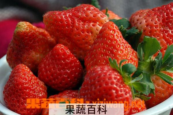 果蔬百科草莓的营养价值与功效