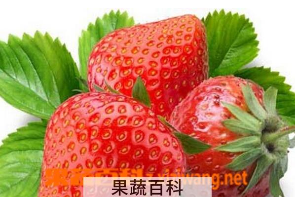 果蔬百科春天吃什么水果好