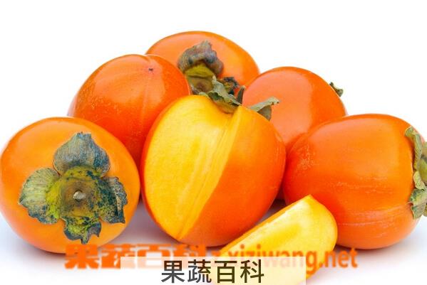 果蔬百科哪些水果不能空腹吃