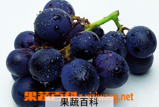 果蔬百科葡萄吃多了有哪些坏处