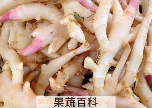 紫姜有何作用