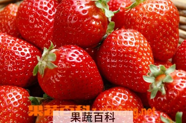 果蔬百科哪些水果能养肝