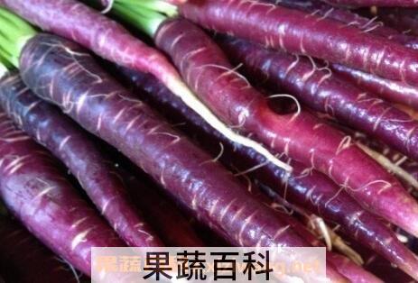 紫色胡萝卜的营养价值