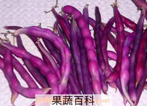 紫色豆角的营养价值