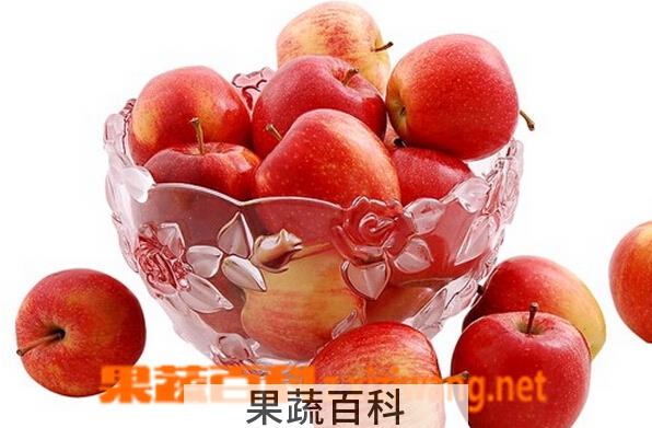 果蔬百科孕妇吃苹果的好处和禁忌