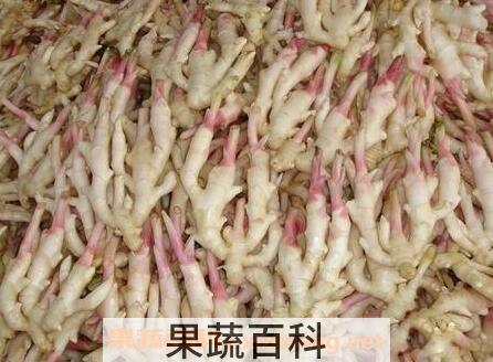 子姜和生姜有什么区别 