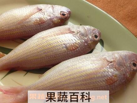 三鱼肉的功效与作用