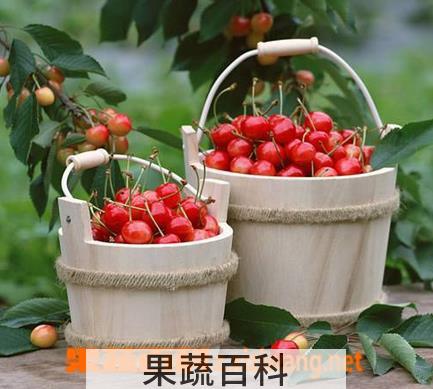果蔬百科吃樱桃对孕妇的好处