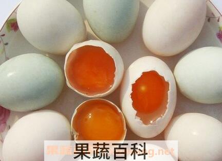 鸭蛋不能和什么一起吃