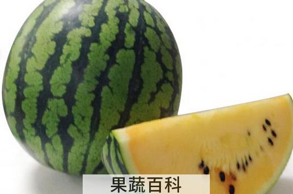 果蔬百科如何挑选小玉西瓜