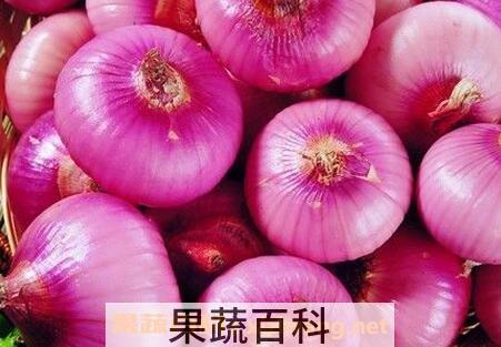 园葱的药用功效与作用