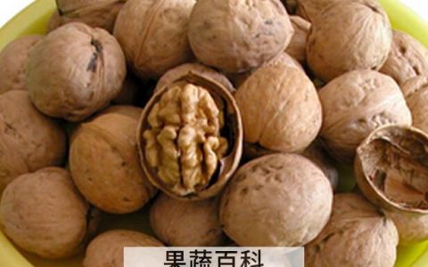 新鲜核桃和干核桃哪个营养价值高一点 新鲜核桃和干核桃哪个营养价值高些