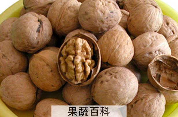 果蔬百科新鲜核桃和干核桃哪个营养价值高
