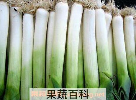 蒸熟大葱的功效与作用