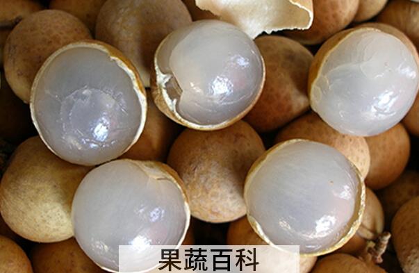 果蔬百科桂圆的功效及作用
