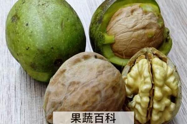 果蔬百科新鲜核桃的功效与作用