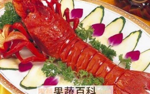 澳洲大龙虾的营养价值高吗 澳洲大龙虾的营养价值及功效与作用