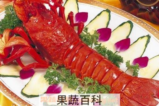 澳洲大龙虾营养价值