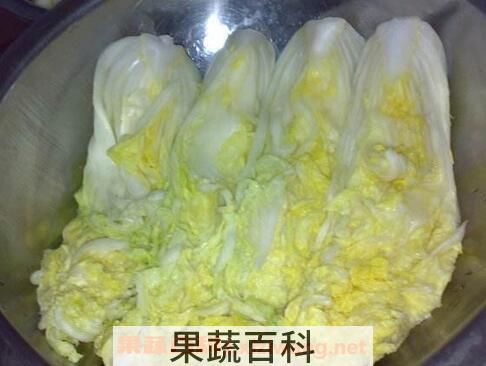 韩国白菜的腌制方法