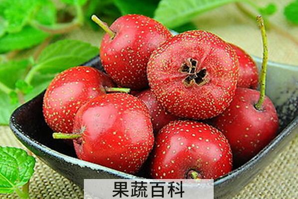 果蔬百科孕妇吃山楂的好处和坏处