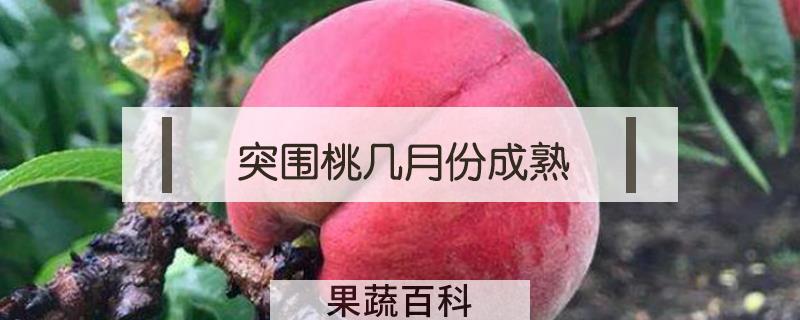 突围桃几月份成熟