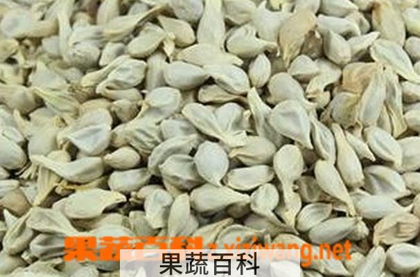 果蔬百科橘子核的药用作用
