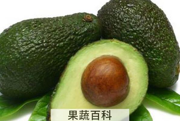 果蔬百科鳄梨是什么 鳄梨怎么吃