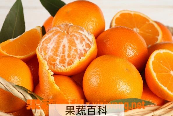 果蔬百科橘子和桔子的区别