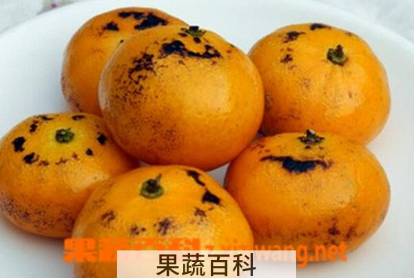 果蔬百科橘子烤着吃的功效