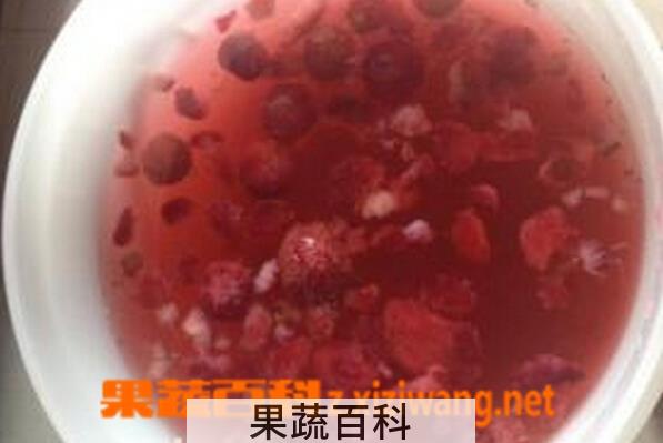 果蔬百科樱桃酵素