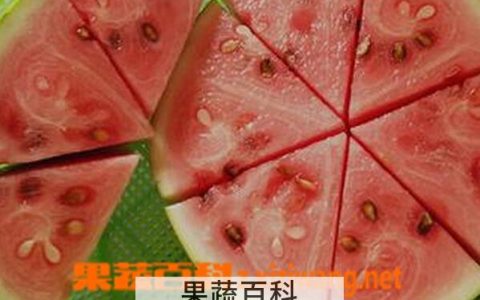 西瓜怎么样算变质了 西瓜变质什么样 如何判断西瓜变质了没